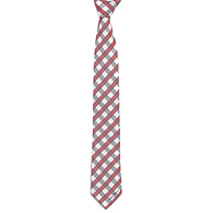 Alfa Romeo Neck Tie(Check)