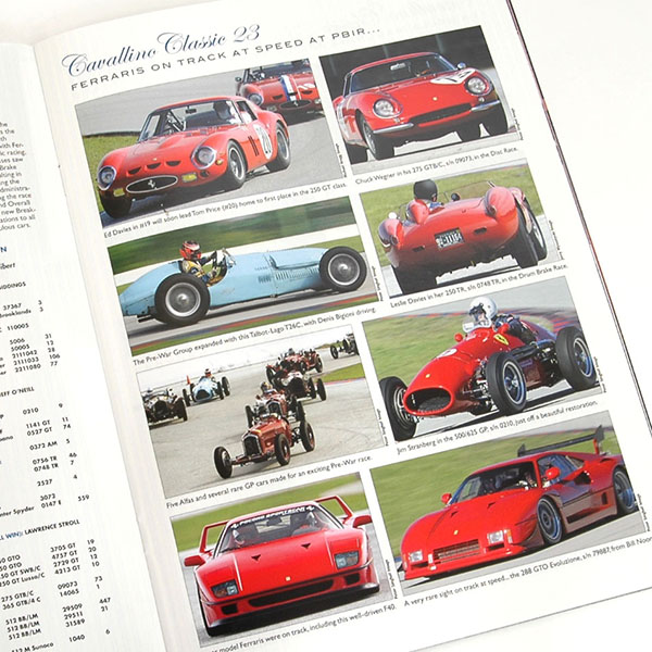 CAVALLINO APRIL-MAY 2014