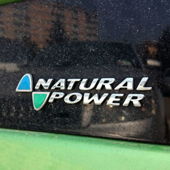 FIAT Natural Power Logo Emblem Type A