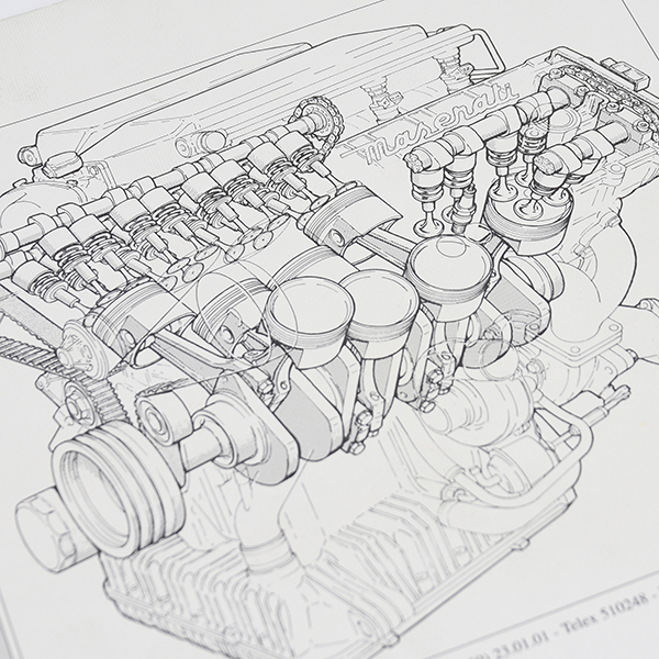 MASERATI Shamalܹ񥫥