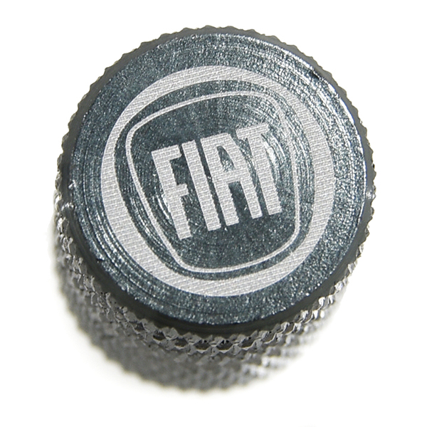 FIAT֥Х֥å