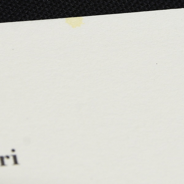 Piero Ferrari Business Card