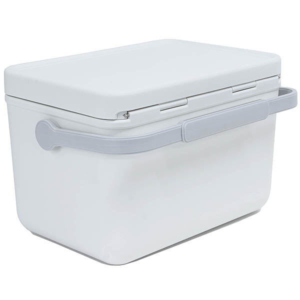 FIAT Official Cooler Box