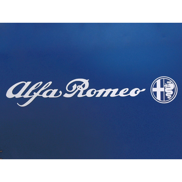 Alfa Romeo&֥ॹƥå(ڤȴ/245mm) 